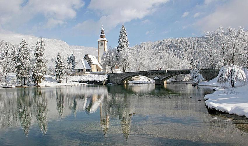 Apartments Bb Bohinj Exterior photo